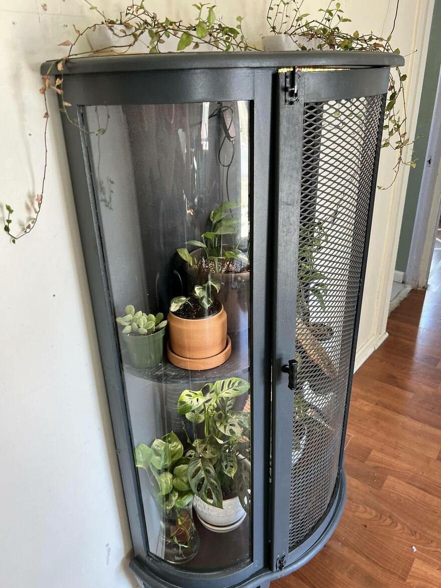 Finally!! I Got Something!! It’s Not Finished Yet But The Grow Lights Are Installed And A Couple Plants Inside, Hoping To Add Propagation Tubes Along The Back As Well!