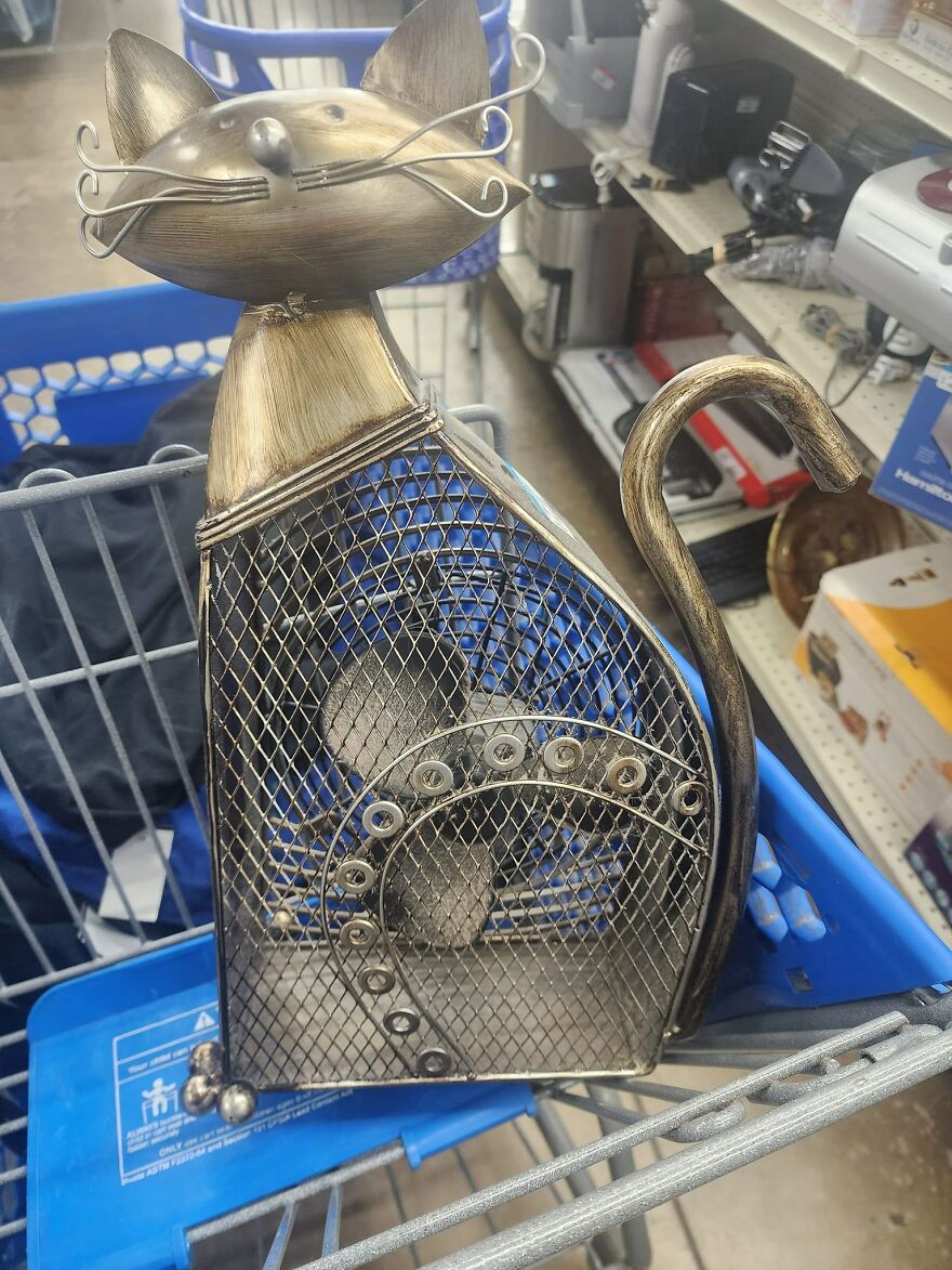 I Found This Amazing Cat Fan At Goodwill. It Works Perfectly!!