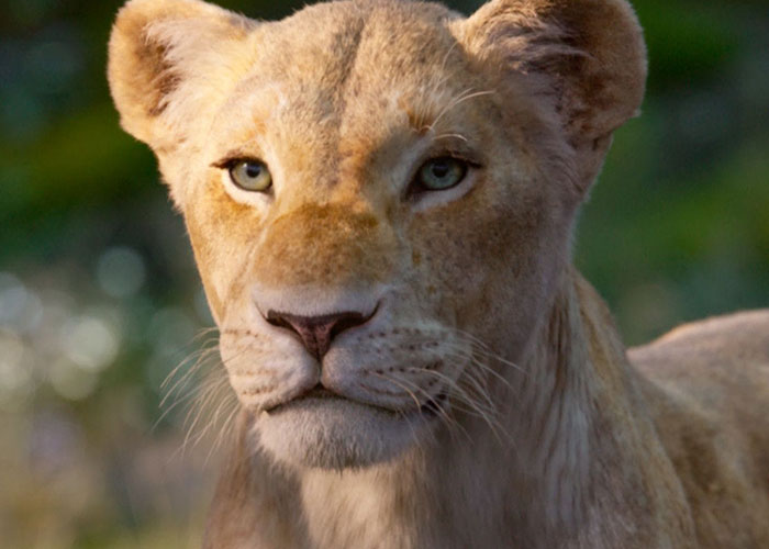 40 Times Hollywood Miscast So Badly, They Almost Tanked The Movie