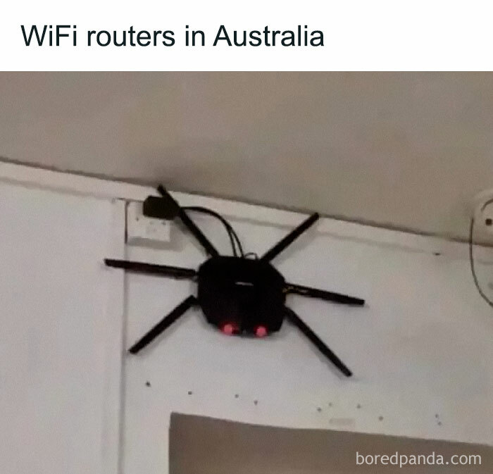Funny meme showing a WiFi router with antennas resembling a spider on the wall.