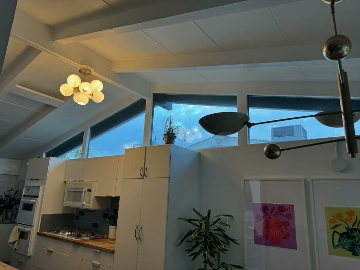Modern kitchen interior with warm lighting and plants, highlighting neighbors' light complaints.