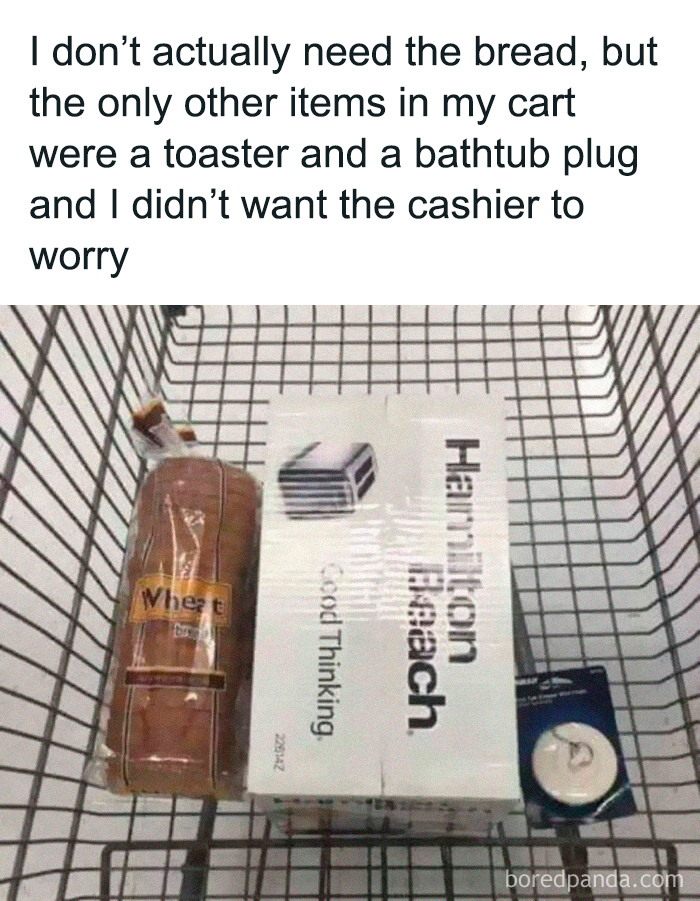 Shopping cart with bread, toaster, and bathtub plug, showcasing dad’s humor with a funny caption about cashier concern.