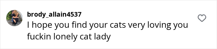 Comment referencing a woman divorcing her husband, mentioning cats. Comment referencing a woman divorcing her husband, mentioning cats.