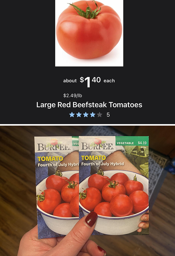 Instacart shopper holding tomato seed packets, comparing with large beefsteak tomato price display.