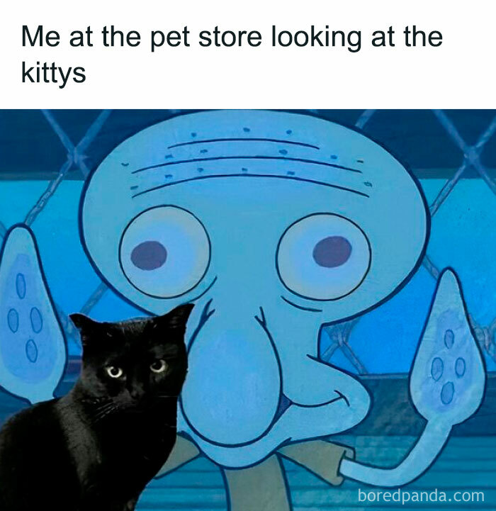 Black cat in front of a cartoon character, showcasing random cat humor.