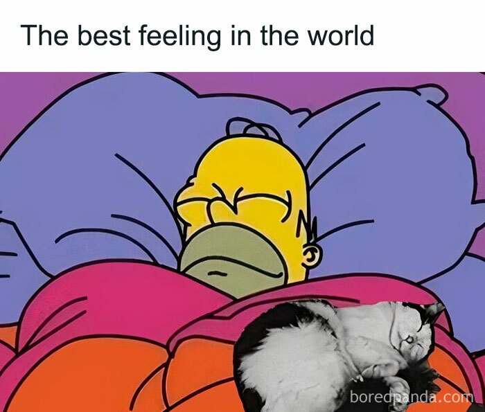 Cartoon character sleeping under bright blankets with a cat curled up beside them, depicting a cozy scene.