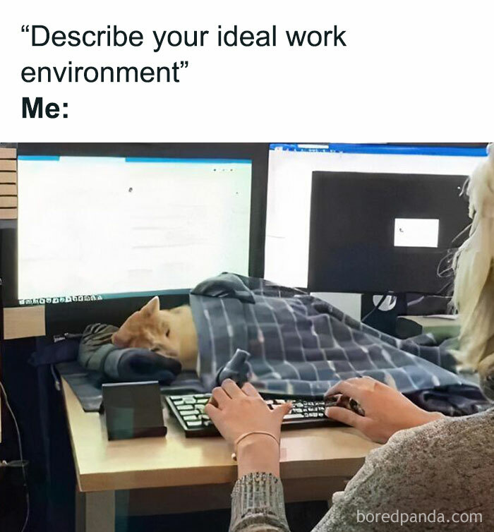 Person working at a desk with a cat tucked in under a blanket, creating a humorous work environment.