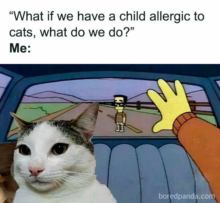 Meme featuring a confused cat with a cartoon background, humorously pondering cat allergy solutions.