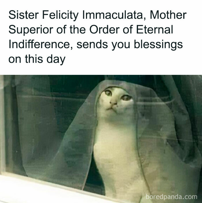 Cat meme using classical art style, cat with a curtain resembling a nun's veil, humorously captioned with blessings.
