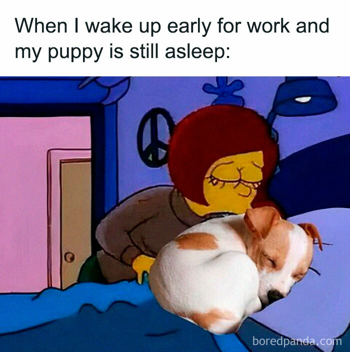 Cartoon character waking up for work, puppy sleeping, relatable memes humor.