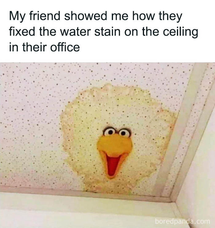 Ceiling water stain humorously altered to resemble a cartoon bird, blending laughter and creativity for entertainment.