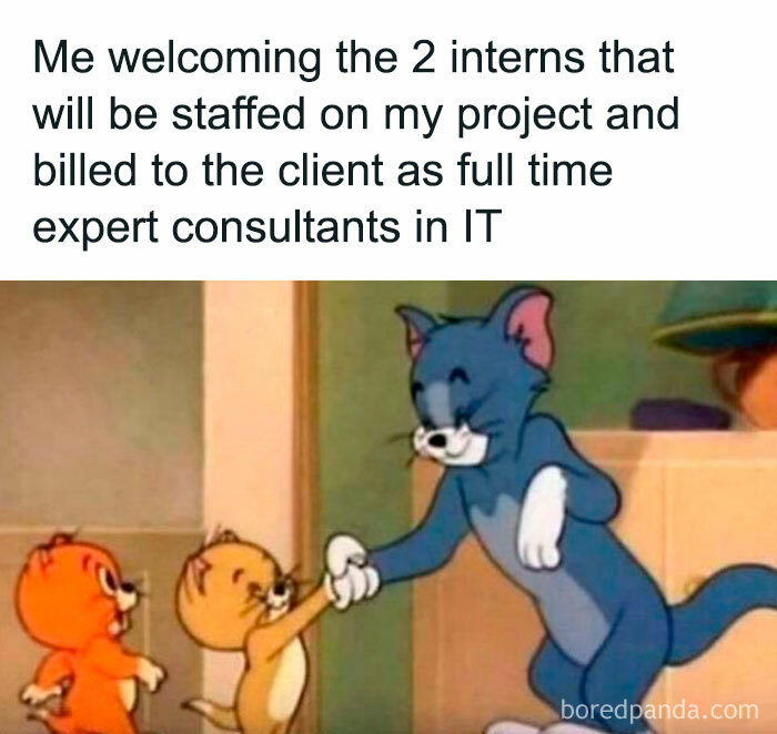 Meme for programmers featuring Tom and Jerry, with Tom shaking hands with two mice labeled as expert IT consultants.