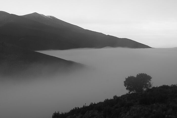 Foggy mountain landscape with a lone tree, part of The Coincidence Project by Denis Cherim, creating an intriguing visual illusion.