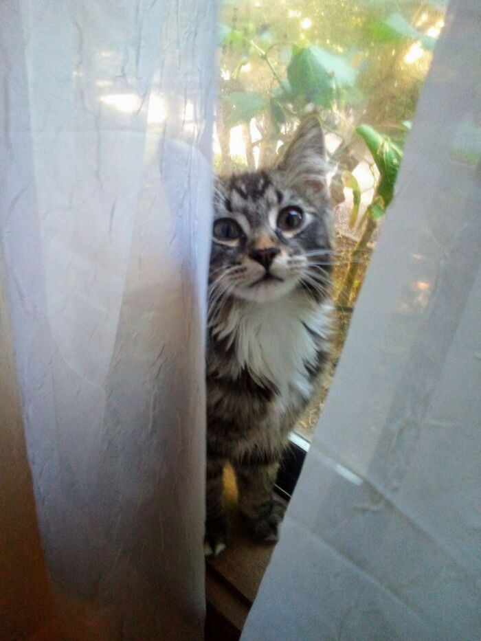 I Rescued This Little Guy From Being Stuck In A Motor