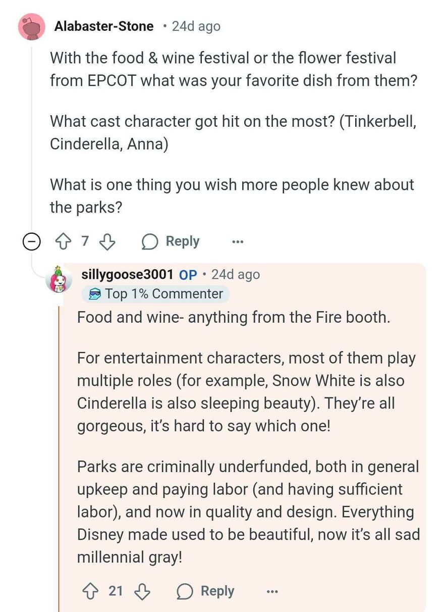 Comments discussing Disney Parks secrets and questions about EPCOT festivals, character roles, and park upkeep opinions.