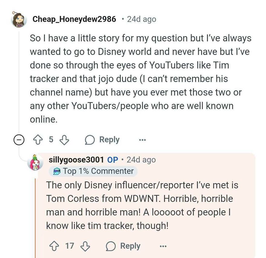 Comments on Disney Parks secrets and questions about influencers and YouTubers.