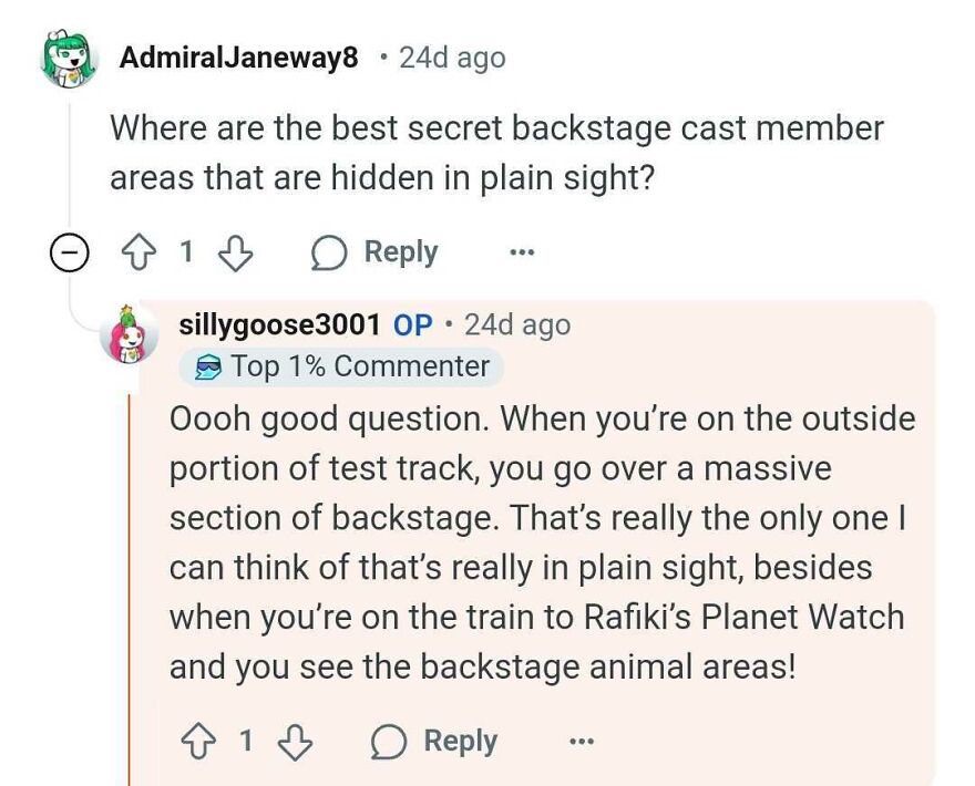 Comment discussing Disney Parks secrets about backstage areas in plain sight.