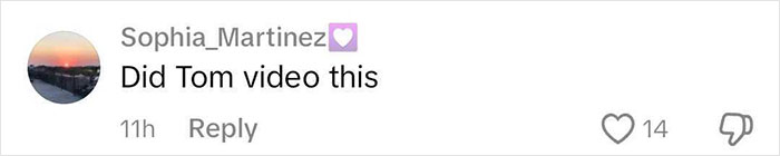 Comment asking if Tom filmed the video, with likes and dislikes shown.