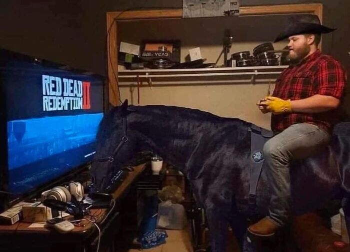 Man playing video game while sitting on a horse indoors, showcasing animals in hilarious goblin mode.