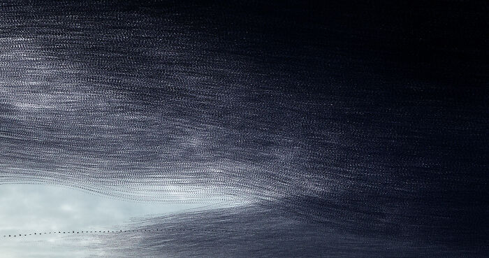 Migrating birds' flight patterns captured in an artistic photo by Kathryn Cooper, showcasing their stunning motion.