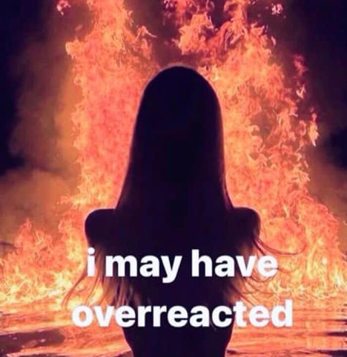 Silhouette facing flames with text overlay: "I may have overreacted." Mental health meme.