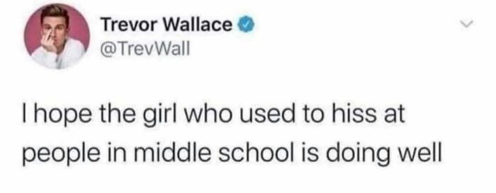 Tweet meme on mental health humor, expressing concern for a quirky middle school behavior.