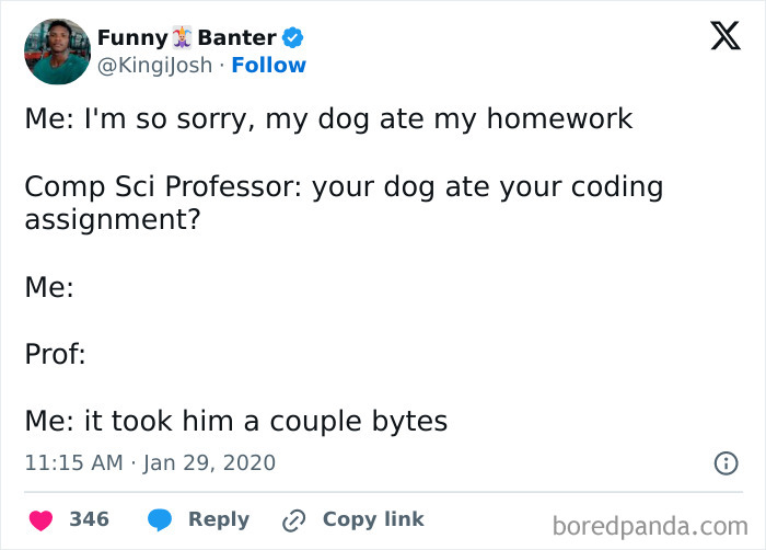 "Programming meme about a dog eating a coding assignment, humorously using 'bytes' as a pun."