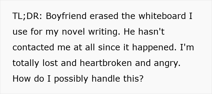 Text expressing frustration after a boyfriend erases novel planning from a whiteboard, seeking support from netizens.