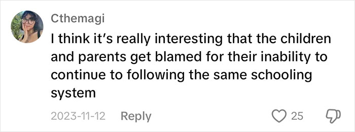 Social media comment discussing children's education system and parenting challenges, with a profile picture and engagement icons.