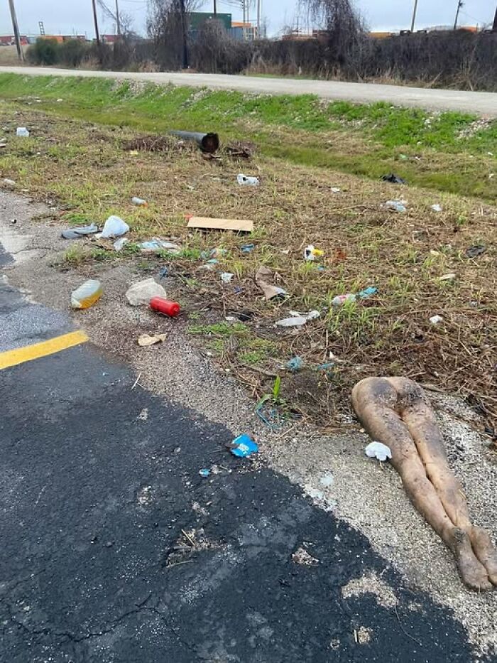 "Discarded mannequin legs amid roadside litter, showcasing weird images worth seeing in different contexts."