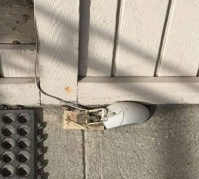 Trampa de ratón con un ratón de computadora en la entrada de una casa.