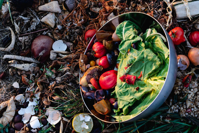 “Flags Everywhere”: Foreigners Share The Most Bizarre Things They Noticed While Visiting The U.S.