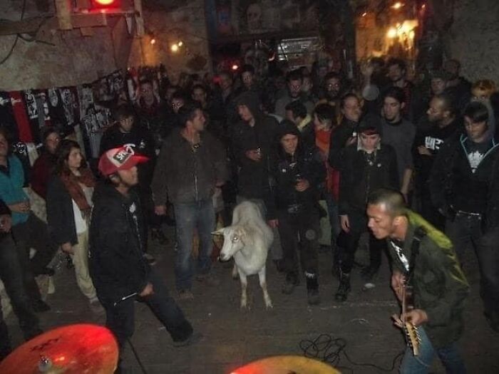 People in a crowded room with a goat in the center during a music event, creating weird images worth seeing.