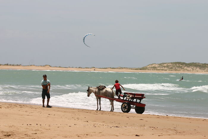 Retro Brazilian beach scene with a horse-drawn cart on sandy shore, capturing sun and sea vibes.