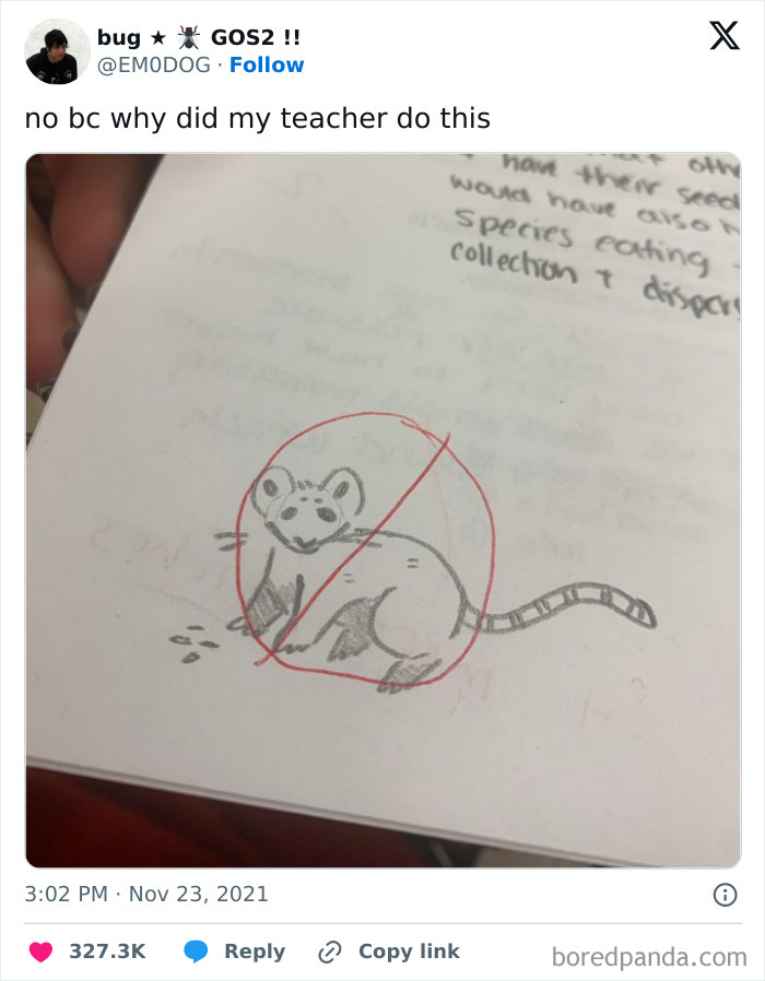 A sketch of a rat crossed out by a teacher, causing confusion and frustration.