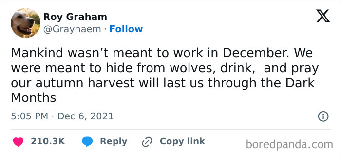 Text meme about the humorous view on not working in December and focusing on survival, related to mental health memes.