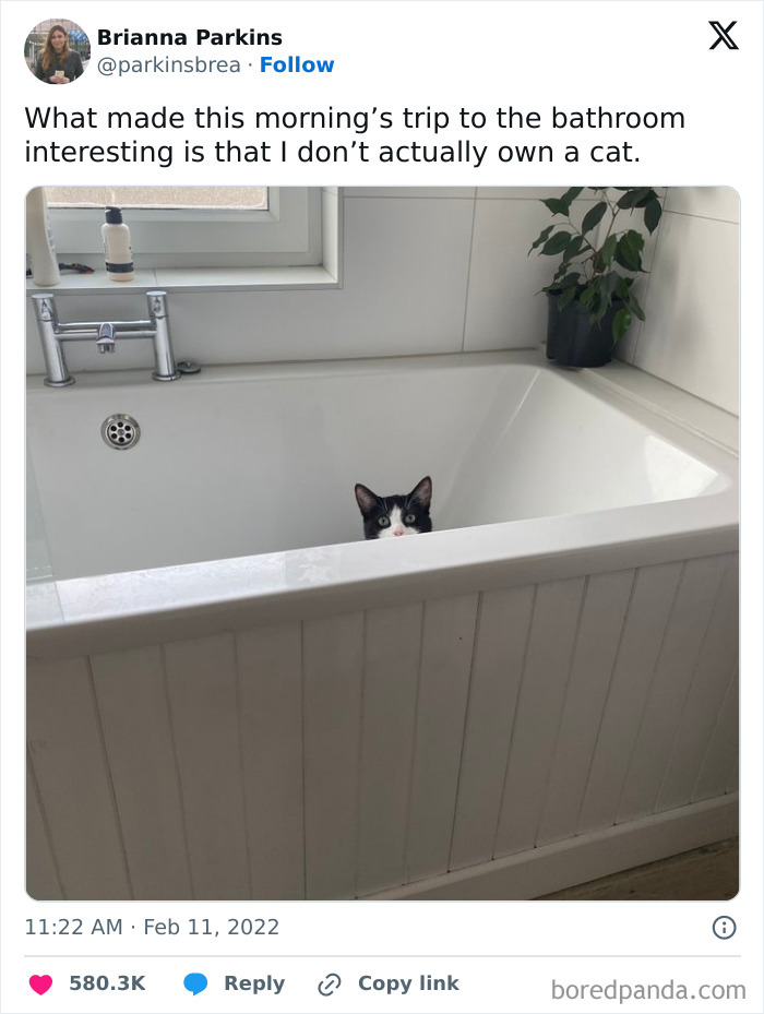 Cat peeking over the edge of a bathtub in a bathroom setting.