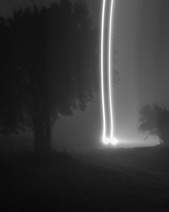 A glowing light trail creates an illusion near trees in fog, part of The Coincidence Project photos.