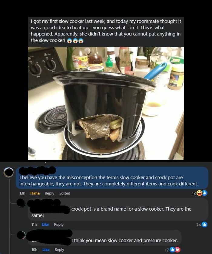 Slow cooker with melted pot, humorous comments correcting terms like crock pot, highlighting lack of knowledge.