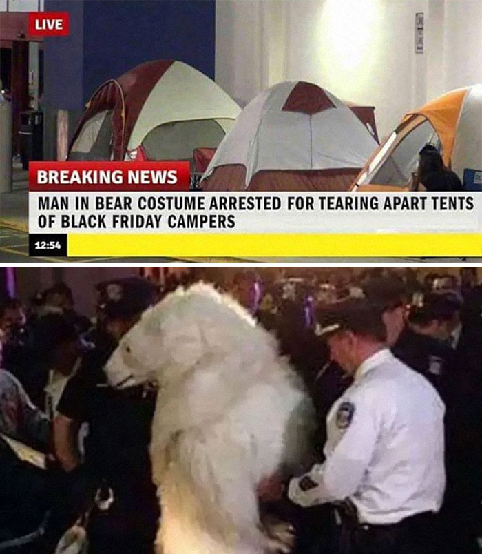 Tents set up for Black Friday campers with a news banner about a hilarious incident involving a man in a bear costume.