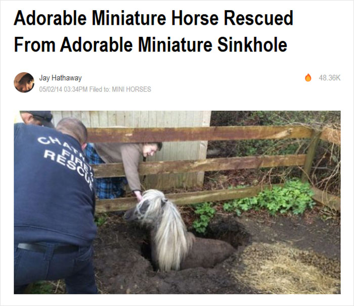 Firefighters rescue a miniature horse from a small sinkhole in a humorous news headline scenario.
