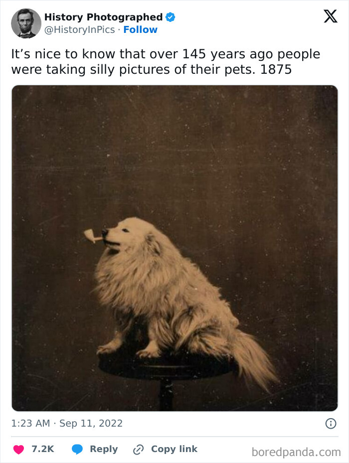 Old photo of a dog sitting on a stool, holding a cigarette in its mouth, illustrating early pet photography.