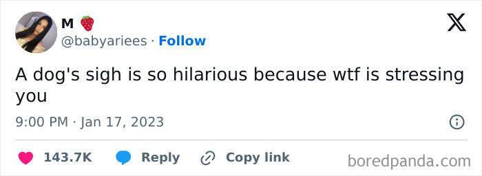 A tweet joking about a dog's hilarious sigh and stress.