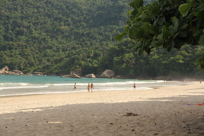 Retro Brazilian beach scene with sun, sand, and lush greenery, capturing the essence of saudade.