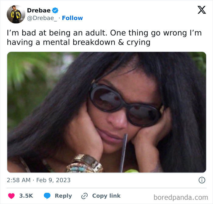 Person in frustration wearing sunglasses, hands on face; a relatable hilarious adulthood post expressing adulting difficulties.