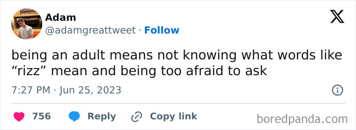 A tweet humorously describes adulthood challenges with modern slang like "rizz," capturing hilarious adulthood posts.