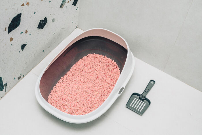 30 People Share Their Non-Negotiable Household Rules, And Some Are Downright Bizarre