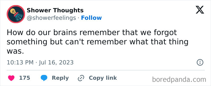 Shower thoughts tweet pondering memory and forgetting, gaining 175 likes.