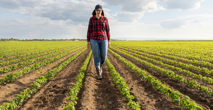 A woman in a plaid shirt and cap walking through a farm field, highlighting rich people's disconnect from reality.