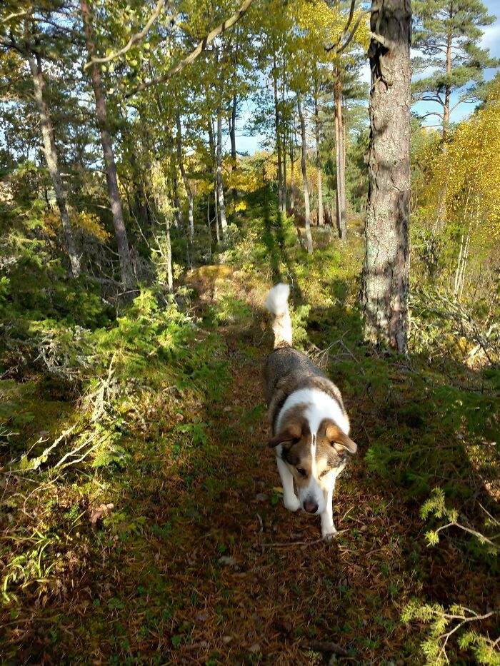 This Is Brodin, And He Loves All Of You